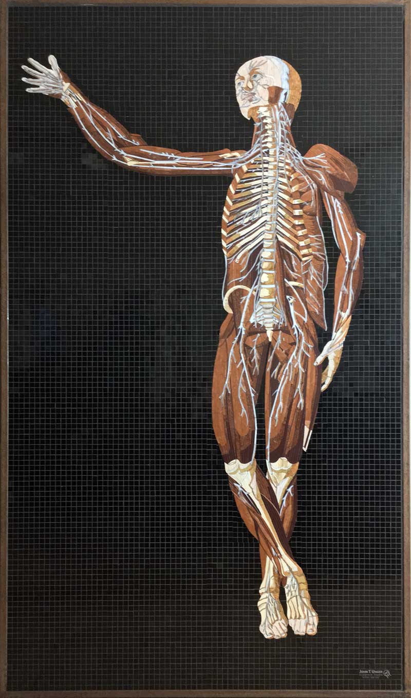 Marble Mosaic of Table 19 of Eustachi's Tabulae anatomicae, finished, in frame.