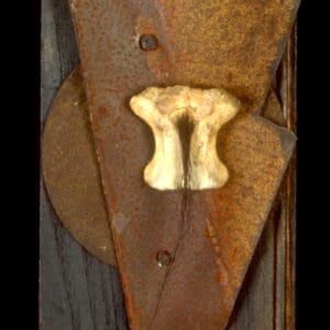 Torso Fetish, 1996