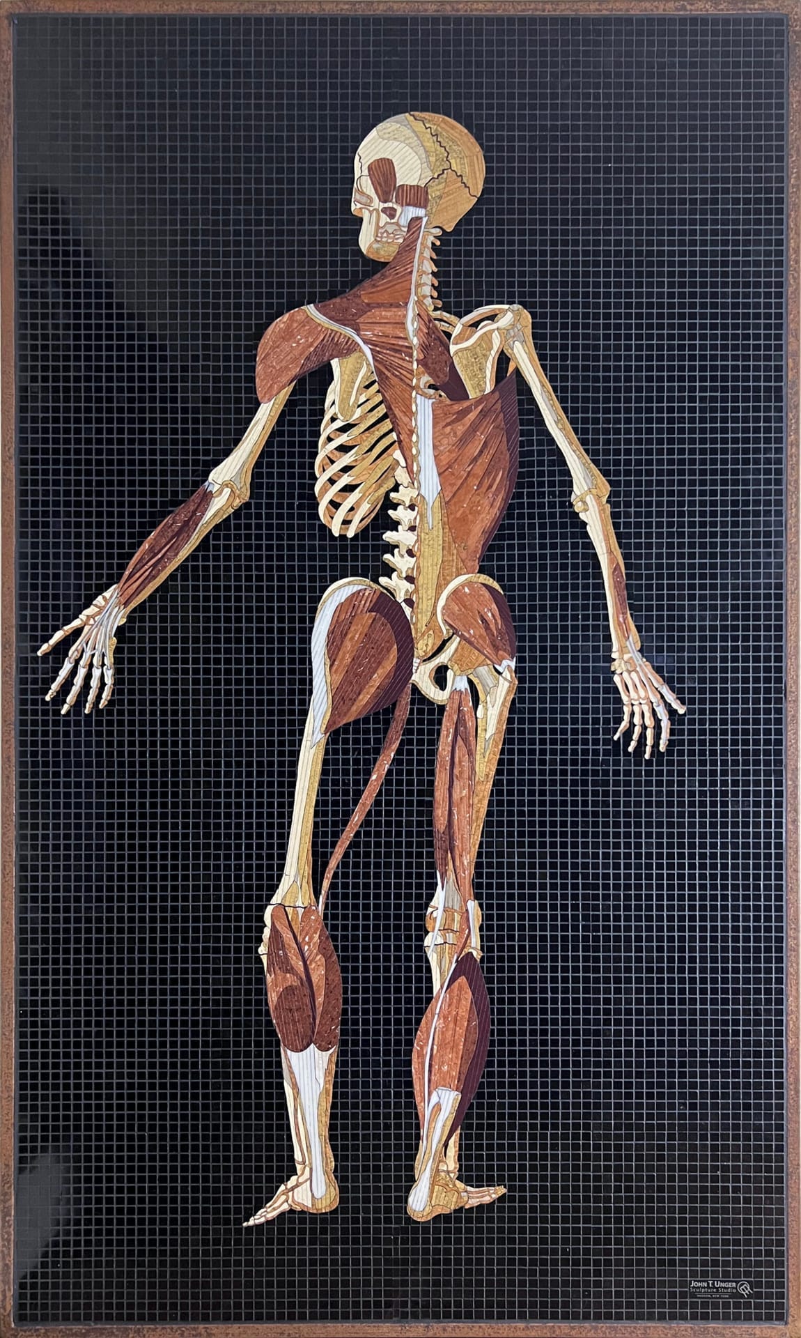 Marble Mosaic of Table 34 of Eustachi’s Tabulae Anatomicae, 2023