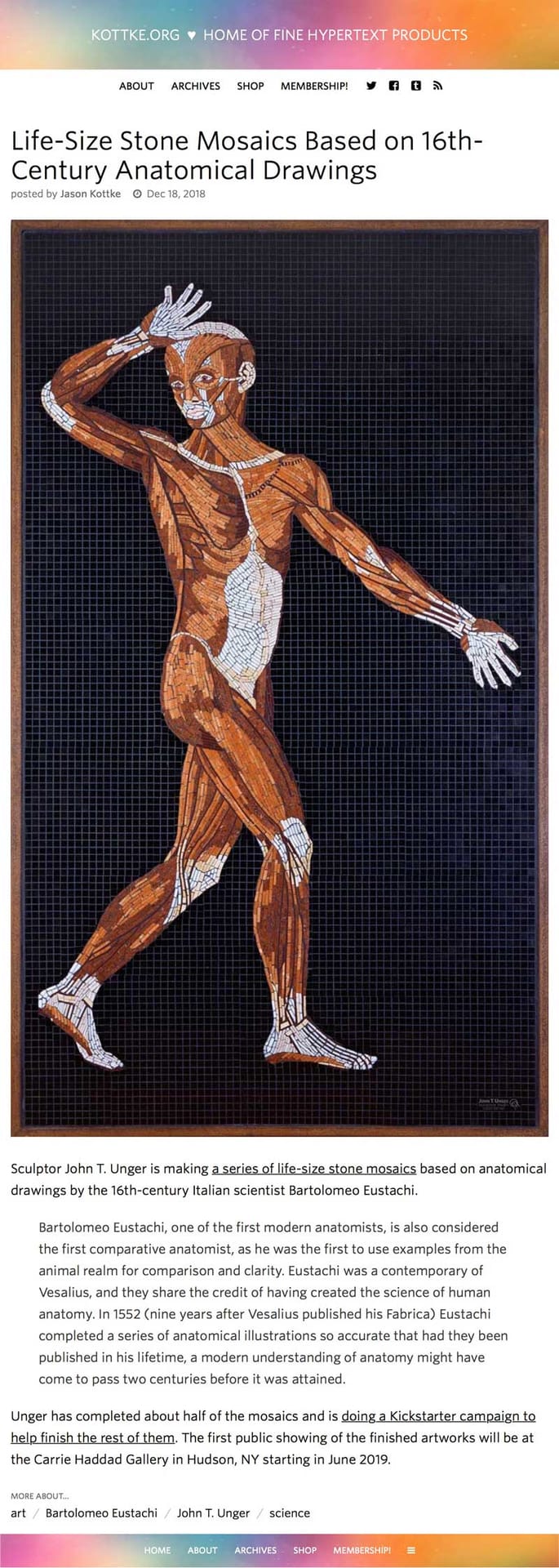 2018 Kottke, Jason. “Life-Size Stone Mosaics Based on 16th-Century Anatomical Drawings.” Kottke.org, 18 Dec. 2018, kottke.org/18/12/life-size-stone-mosaics-based-on-16th-century-anatomical-drawings.